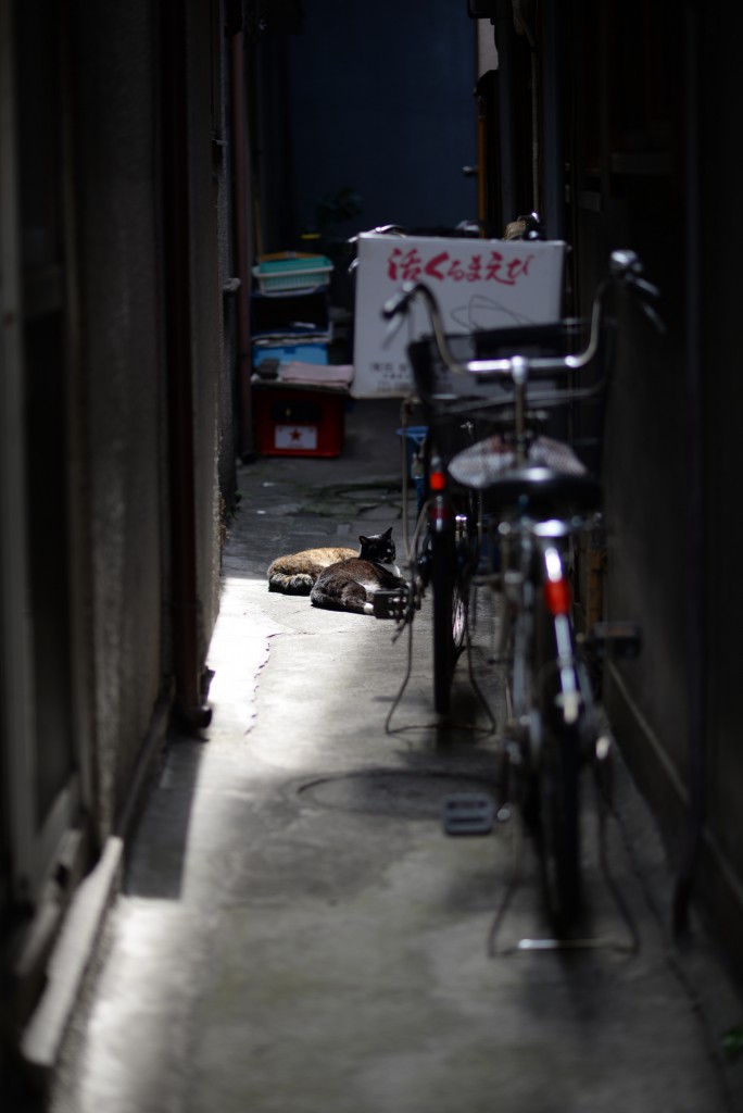 1/400　ｆ2　ISO100