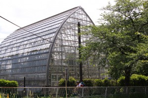 大崎公園・植物