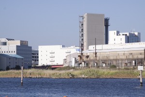 大森ふるさとの浜辺公園・人工干潟