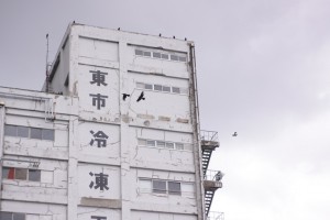 白黒