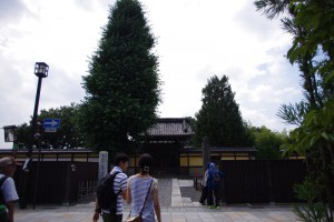 15㎜で太陽をいれた撮影