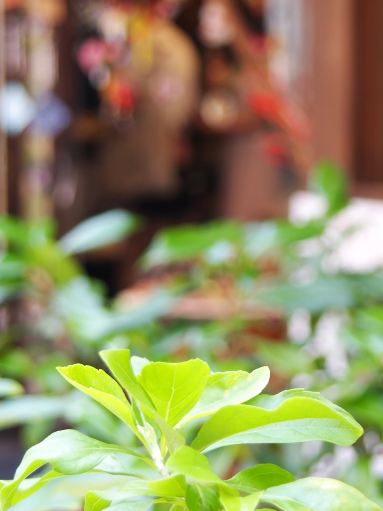 焦点距離26mm　F4.5　1/6　ISO100