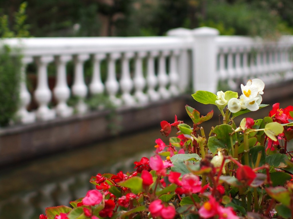 ｆ1.8　1/2500　ISO 100　-0.3ステップ