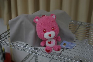 F2.4