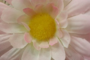 最短20cm