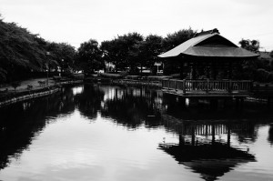 SONY DSC