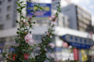 F1.8