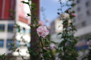 F1.8