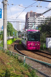 IMCB2631