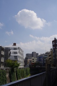 IMCB2664