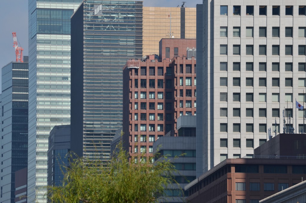 200mm f11 1/400 iso200 