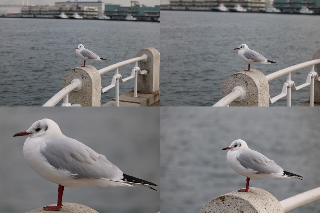 55ｍｍ－250ｍｍ　ISO 100