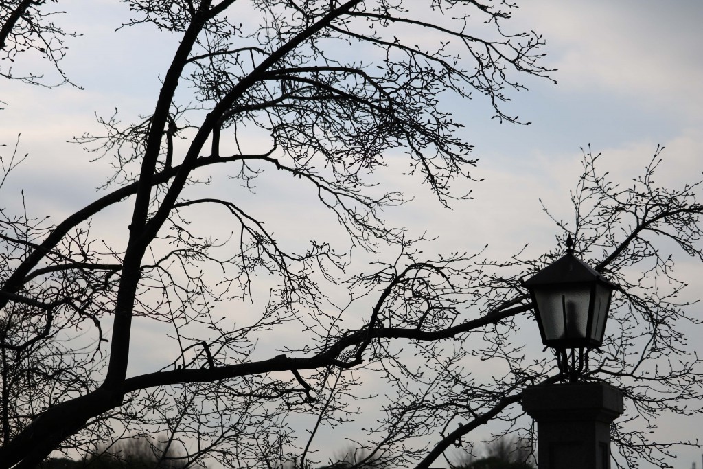 70mm　F4.5　1/2500　ISO 100