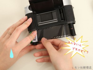 はいらない！
