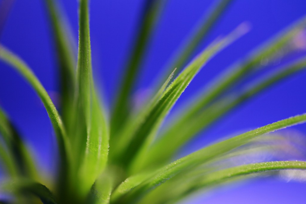 100ｍｍ　Ｆ２．８　１／８０　ＩＳＯ  ５００