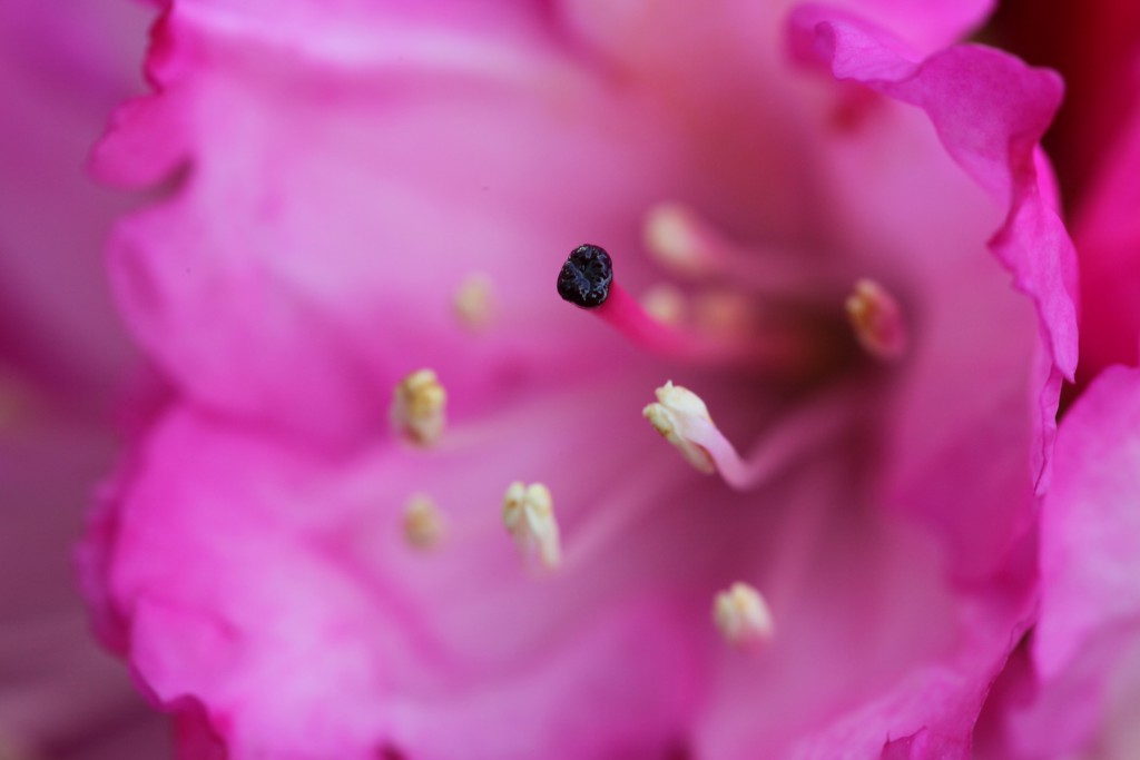 100ｍｍ　Ｆ６．３　１／５０　ＩＳＯ ４００　＋０．７ステップ