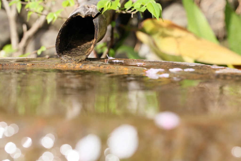 100ｍｍ　Ｆ８．０　１／１２５　ＩＳＯ ２００　