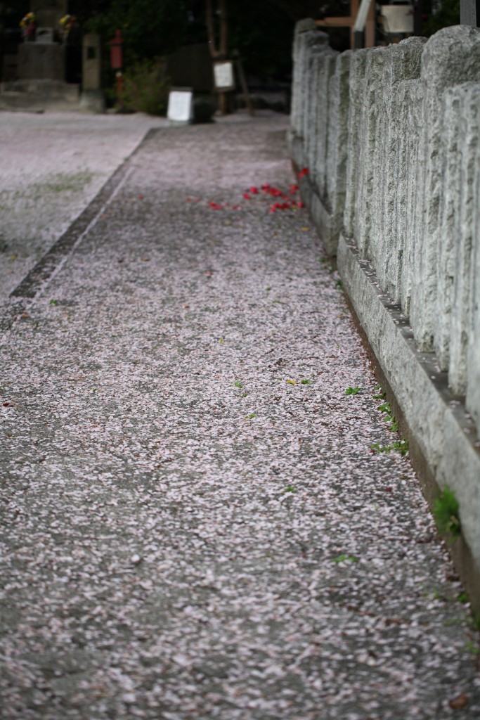 100ｍｍ　Ｆ２．８　１／１２５０　ＩＳＯ ２００　＋０．７ステップ