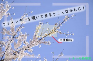 ファインダー内