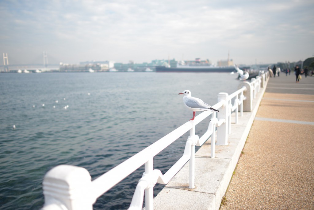 AF-S NIKKOR 28mm f/1.8G