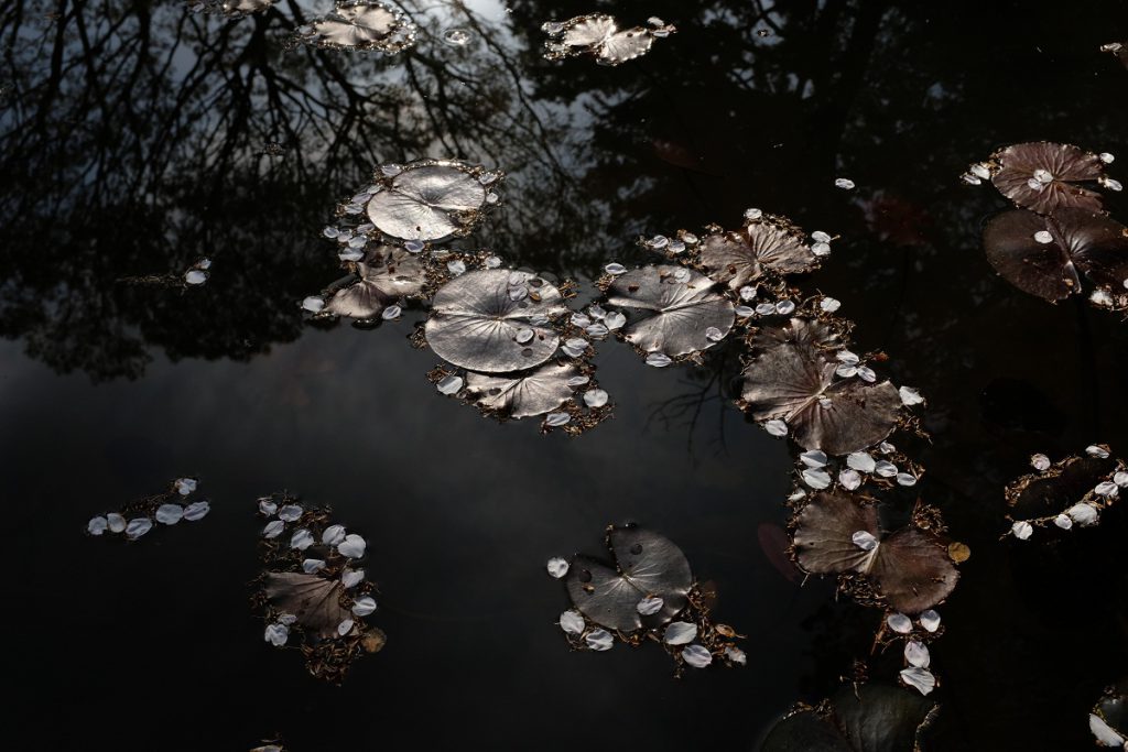 X100F