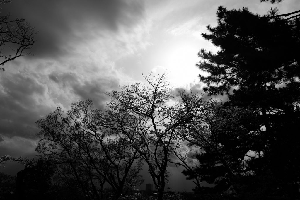 X100F