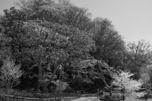 X100F