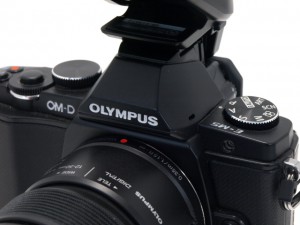 ｵﾘﾝﾊﾟｽ OM-D E-M5 +12-50/3.5-6.3EZ