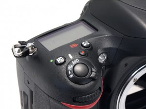 ﾆｺﾝ D610 ﾎﾞﾃﾞｲ