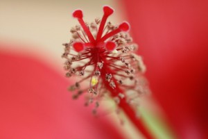 IMG_1984