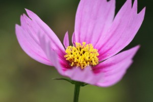 IMG_1990