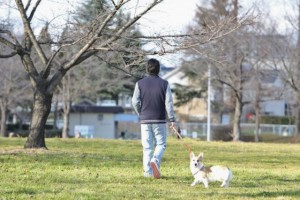 IMG_9862(2)