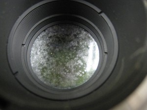 img_6566