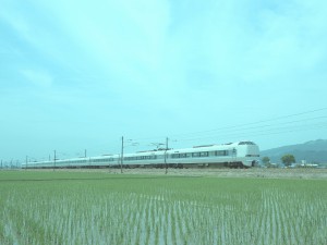デイドリーム