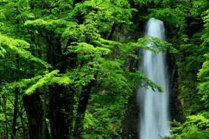 雨滝②