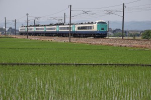 D5300　連写①