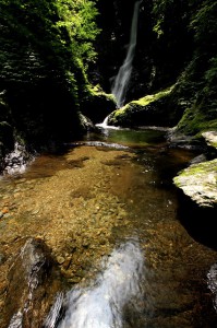 野鹿の滝④