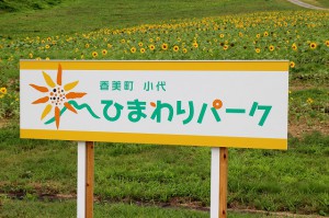 ひまわりパーク①