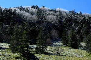 麦草峠②