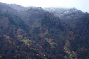氷ノ山　冠雪②