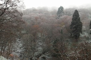氷ノ山　冠雪①
