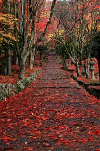 鶏足寺①