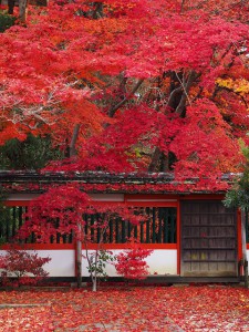 M40-150鍬山神社②