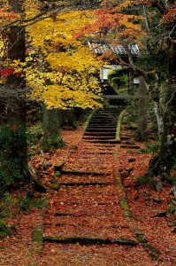 龍穏寺　参道