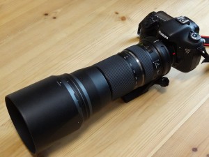 ﾀﾑﾛﾝ150-600外観①