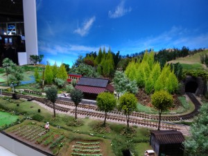 DSC08669