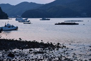 D5500　夕景ISO1000