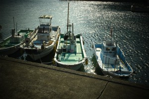 D5500　トイフォト②