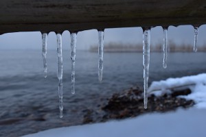 D5500　琵琶湖ﾛｰｱﾝｸﾞﾙ②