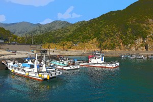 D5500　カラースケッチ